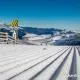 Newsletter skionline.pl, 15 października 2014