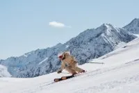 Newsletter skionline.pl, 2 listopada 2023