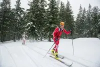 Newsletter skionline.pl, 26 lutego 2016