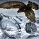 Newsletter skionline.pl, 7 sierpnia 2014