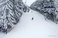 Newsletter skionline.pl, 1 marca 2018