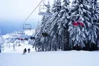 Newsletter skionline.pl, 19 stycznia 2018