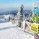 Newsletter skionline.pl, 17 lutego 2011