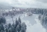 Newsletter skionline.pl, 14 lutego 2020