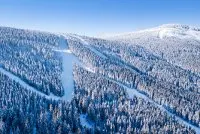 Newsletter skionline.pl, 20 lutego 2019