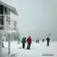 Newsletter skionline.pl, 19 stycznia 2012