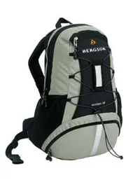 Bergson Enduro