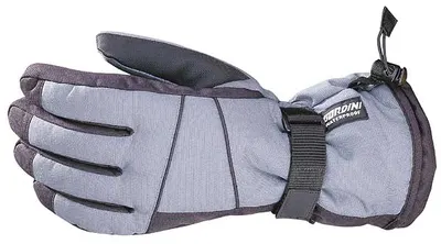 Gordini Ultra Dri-Max Gauntlet