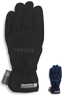 Invicta Dholefra