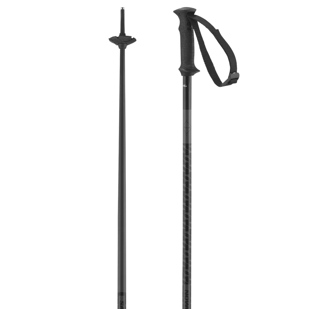 Salomon Polar Access