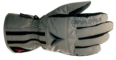 Dynastar Basic