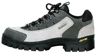 Bergson Denali Low