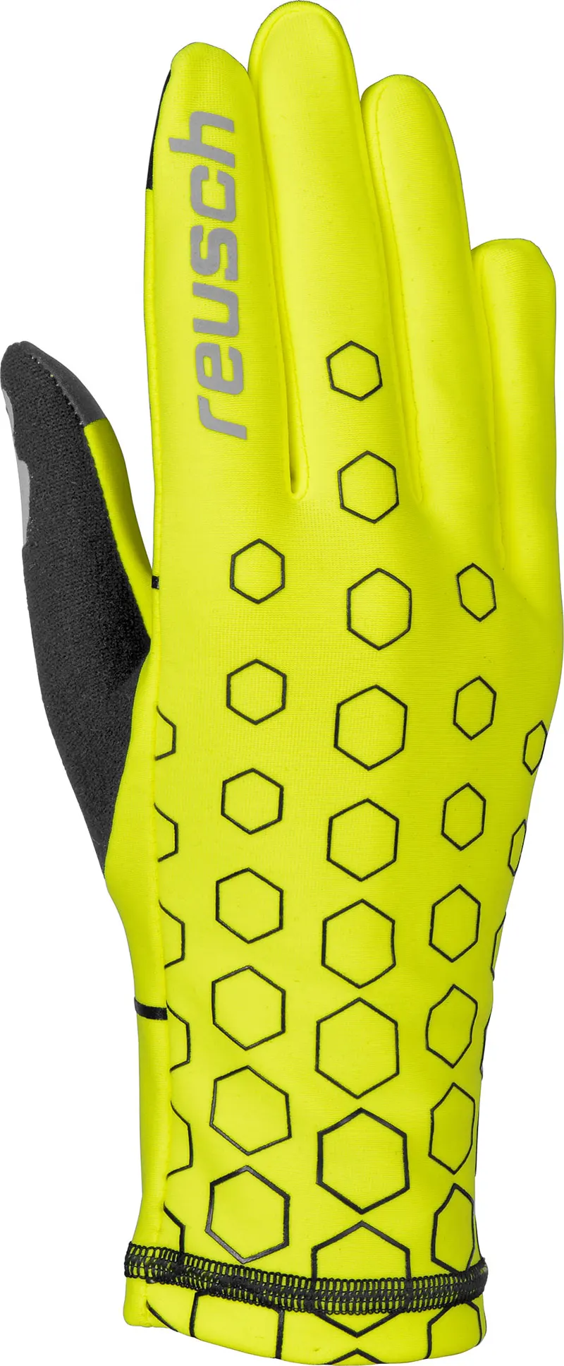 Reusch Ingemar