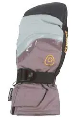 Invicta raknid mit