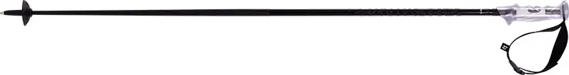 Völkl Phantastick Carbon