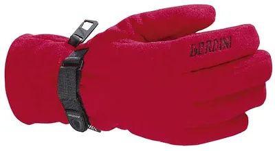 Gordini Ridge Glove
