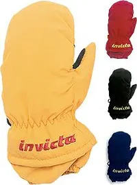 Invicta Soofty Jr