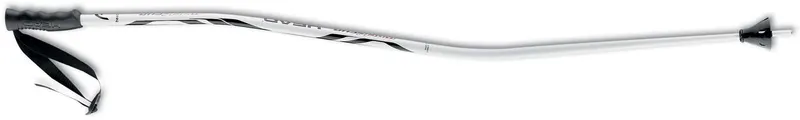 Head WC Super G
