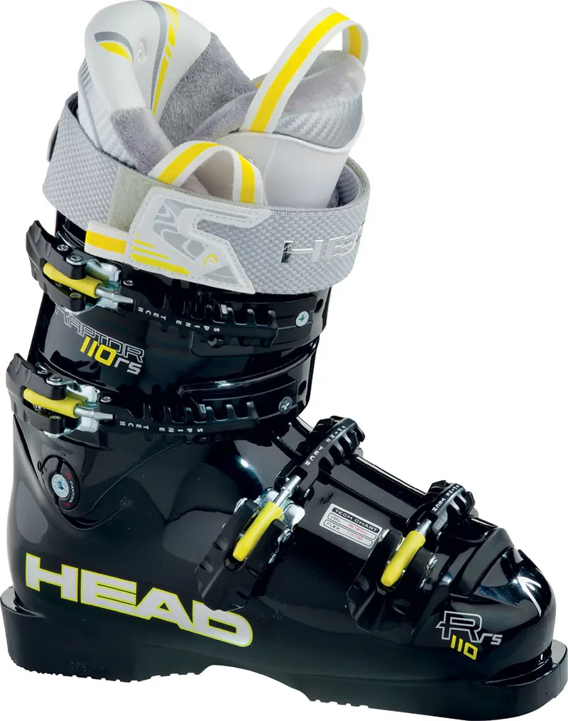 Head Raptor 110 MYA