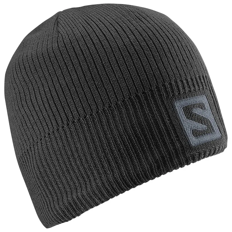 Salomon Logo Beanie