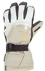 Invicta raknid