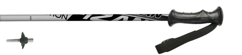 Fizan Action Silver