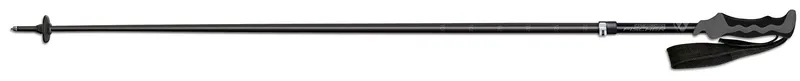 Fischer Pro Carbon XTD