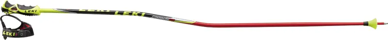 Leki Titanium Carbon GS