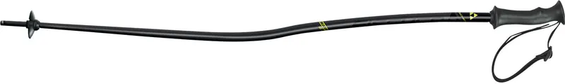 Fischer RC4 WC GS Jr.