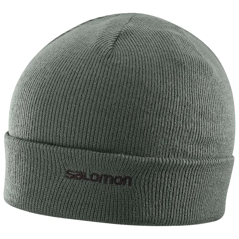 Salomon Fourax Beanie