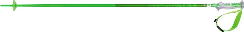 Völkl Phantastick 2 Green