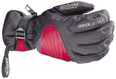 Gordini Stretch Glove