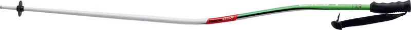 Elan Race GSX curved