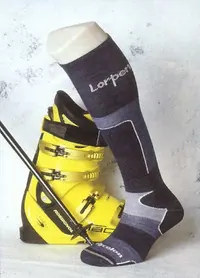 Lorpen S.A.N.P.
