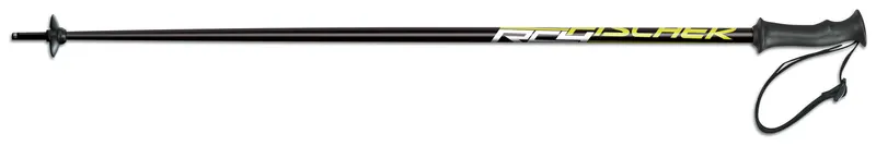 Fischer RC4 WC SL JUN