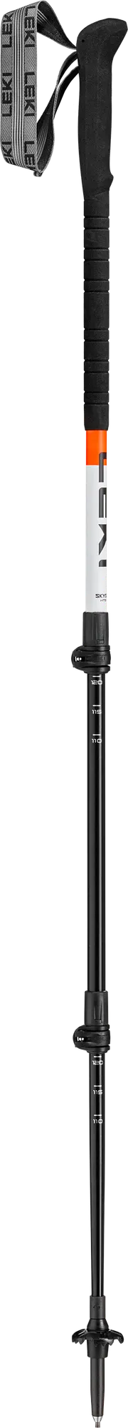 Leki Skysolo