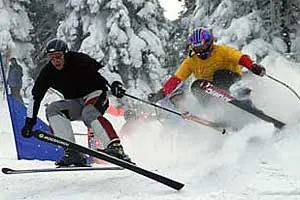 fot.skionline.pl