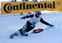 Dendys (skionline.pl)