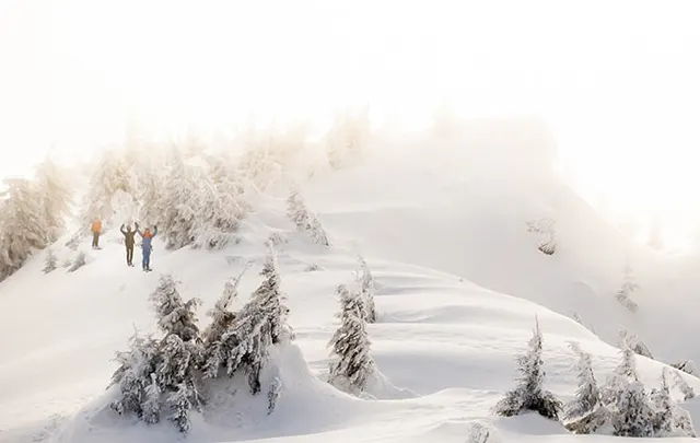 skitourowezakopane.pl