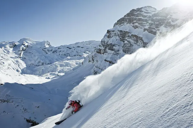 Engelberg Pure Powder Panel Freeride