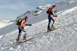 arch. skionline.pl