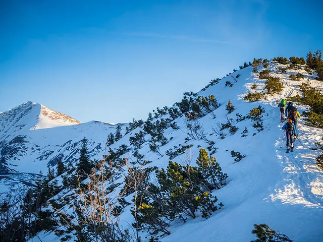 skitourowezakopane.pl