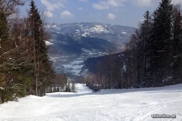 Szczyrk trasa Bieńkula. Fot. arch. skionline.pl