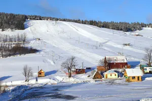 Zieleniec