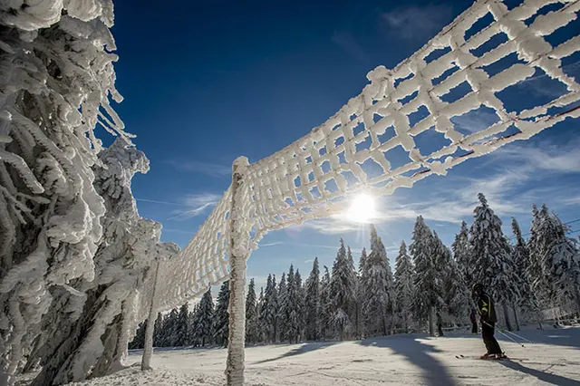 Ośrodek narciarski SkiResort ogranicza ruch poza trasami i wzmacnia ochronę lasów