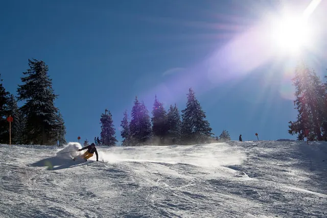 www.gorna-austria.pl