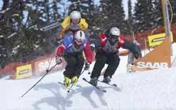 (fot. wssf.com)