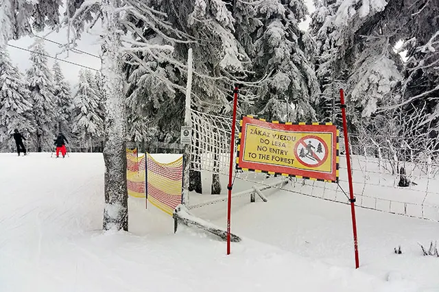 Ośrodek narciarski SkiResort ogranicza ruch poza trasami i wzmacnia ochronę lasów