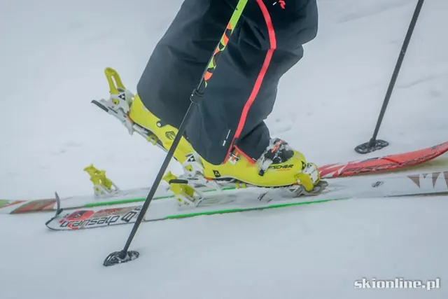 TEST Fischer Transalp 88