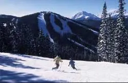 Trend Telemark/Back Country